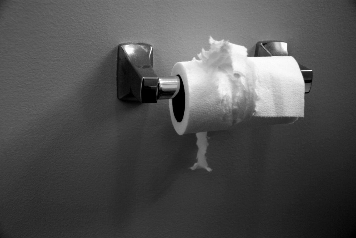Toilet Paper Dags